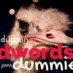 Introducción a una guía para dummies en Adwords.